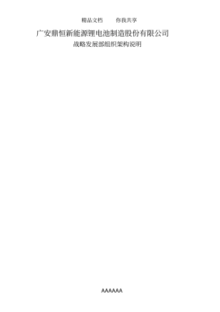 战略发展部岗位说明(试)