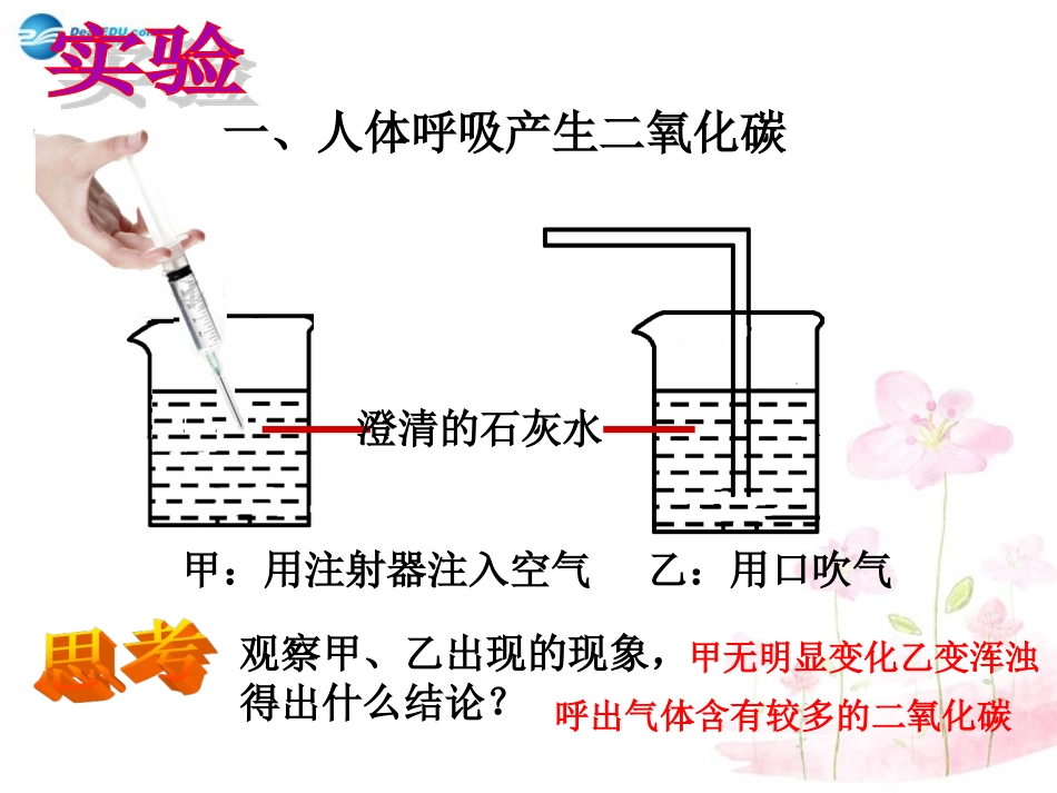 七年级生物下册 第十章 第四节 人体内的气体交换课件4 （新版）苏教版_第3页