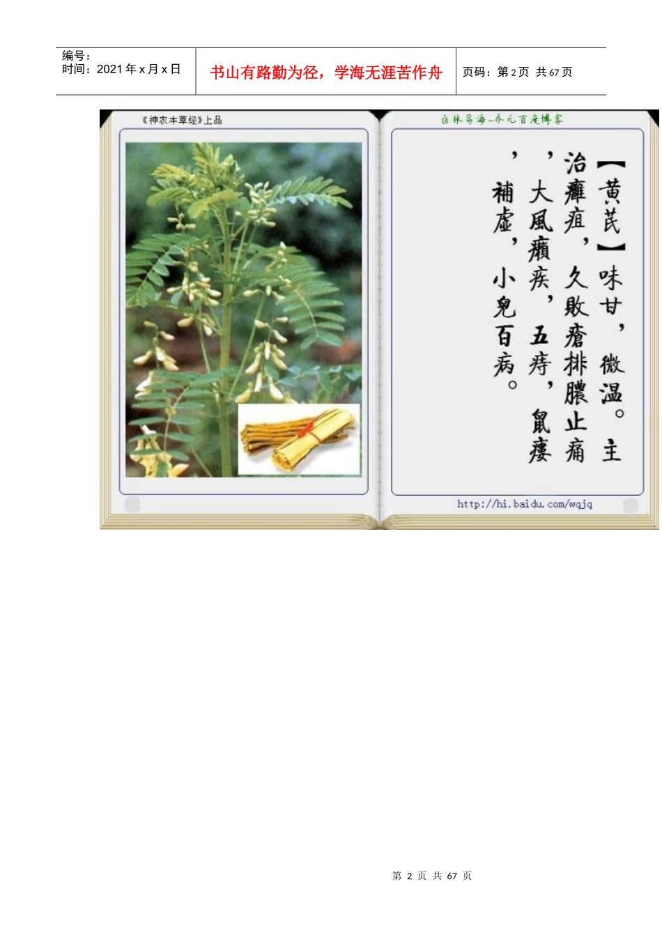 中草药(图文介绍)_第2页