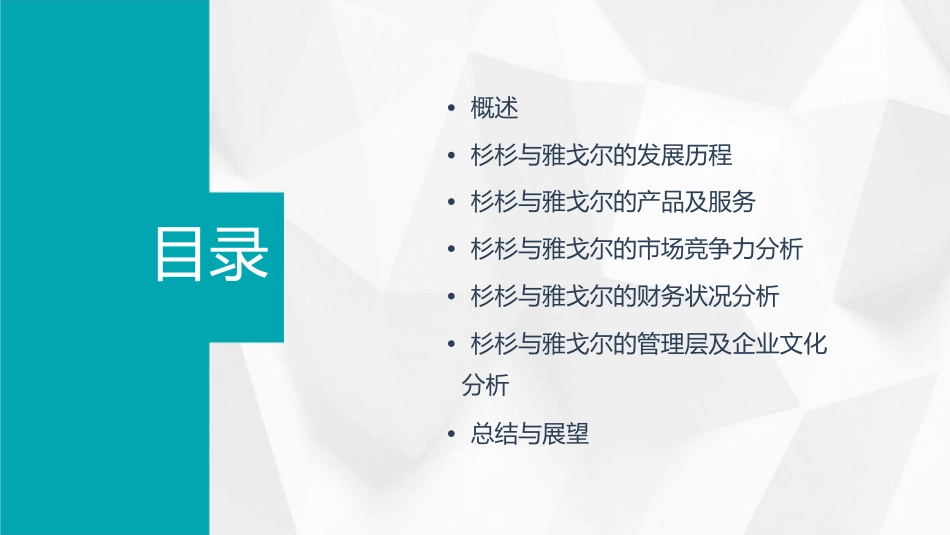 杉杉与雅戈尔课件_第2页