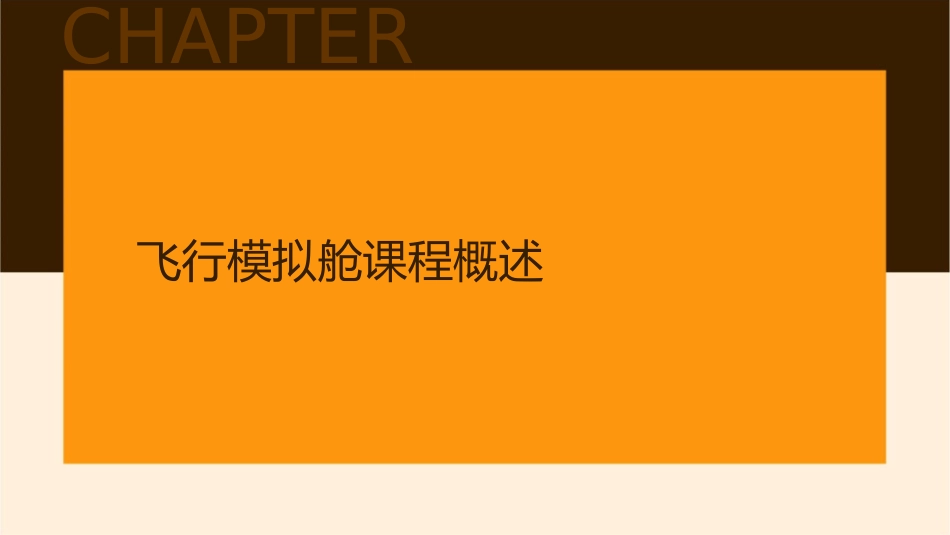 经理人的的飞行模拟舱课程课件_第3页