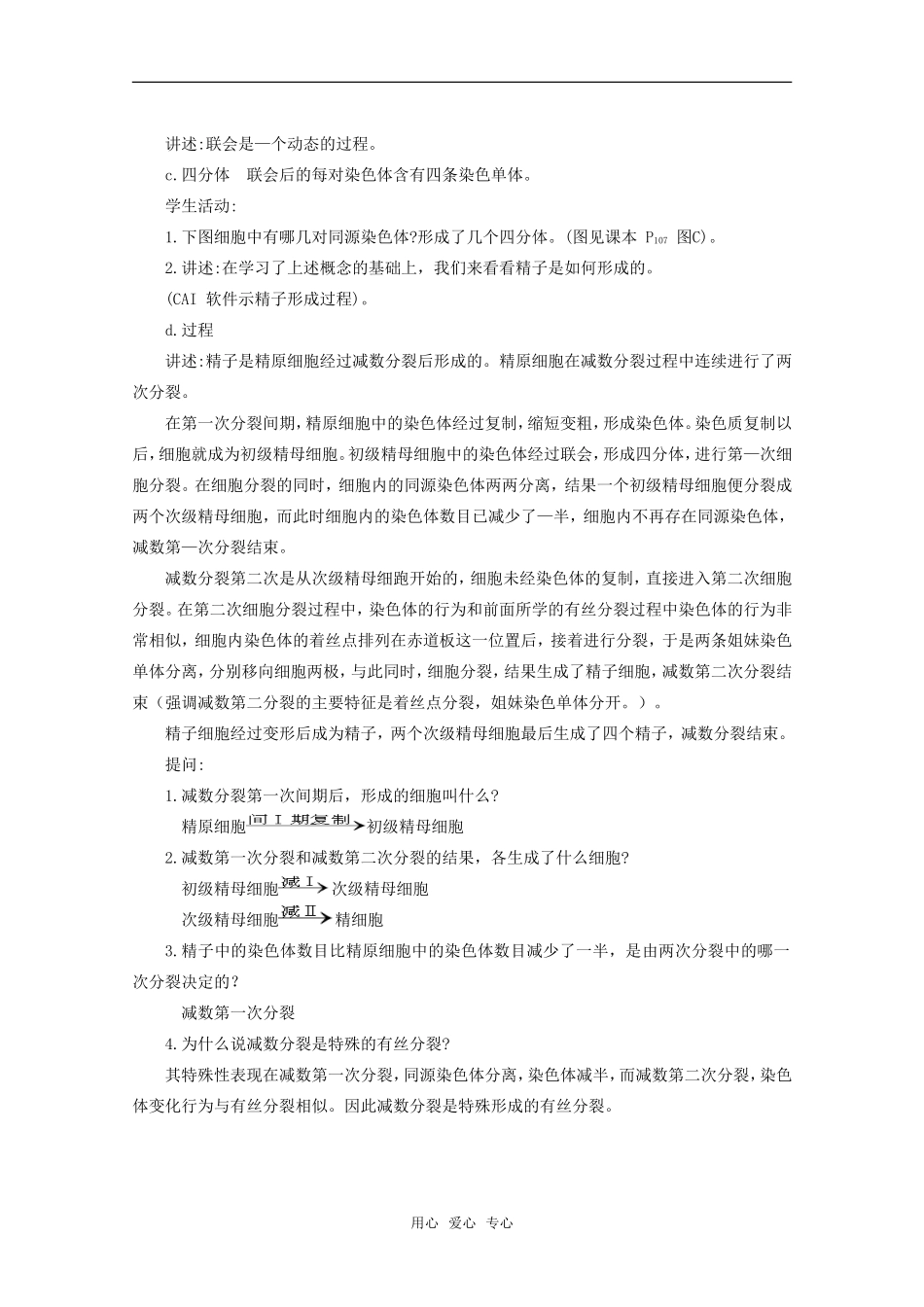 高中生物：2.1《减数分裂》教案苏教版必修2_第3页
