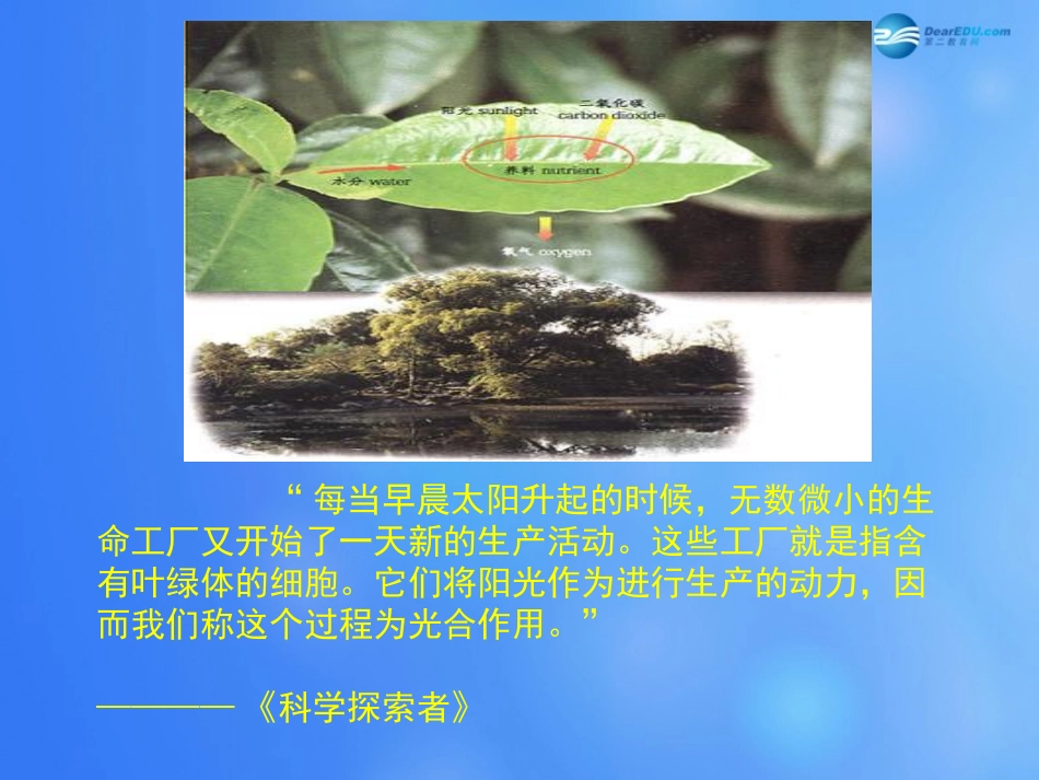七年级生物上册 第5章 第1节 光合作用课件4 北师大版_第2页