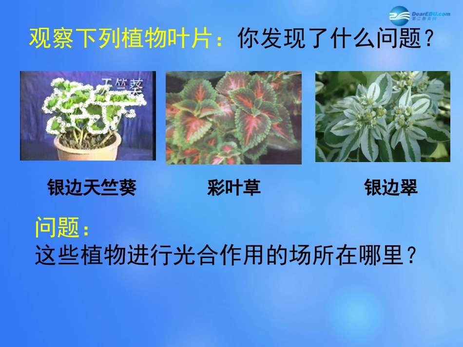 七年级生物上册 第5章 第1节 光合作用课件4 北师大版_第3页