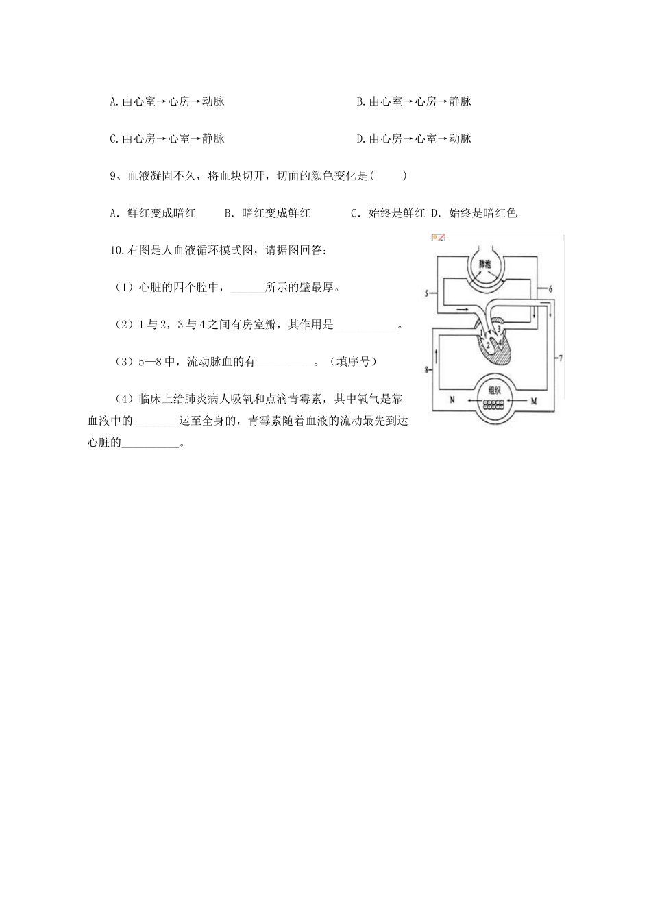 山东省胶南市博文中学七年级生物下册 4.4.3 输送血液的泵—心脏评测练习（无答案）（新版）新人教版_第2页