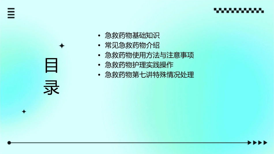 常见急救药物第七讲护理课件_第2页