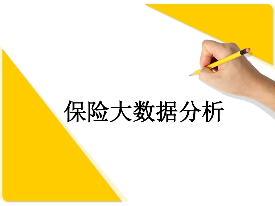 保险大数据分析(PDF30页)_第1页