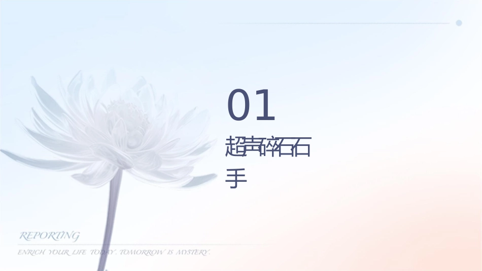经皮肾镜超声碎石取石手术配合护理课件_第3页