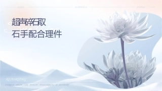 经皮肾镜超声碎石取石手术配合护理课件