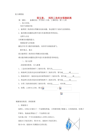 辽宁省丹东七中七年级数学下册 利用三角形全等测距离复习课教案 北师大版