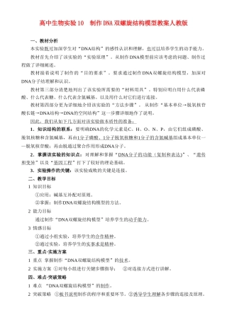 高二生物实验10 制作DNA双螺旋结构模型教案 人教版