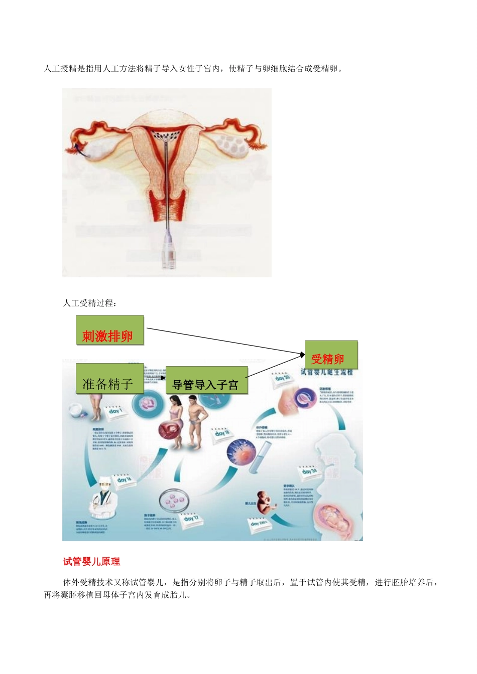 高中生物：1.4《生殖健康》教案（1）新人教版选修2_第3页