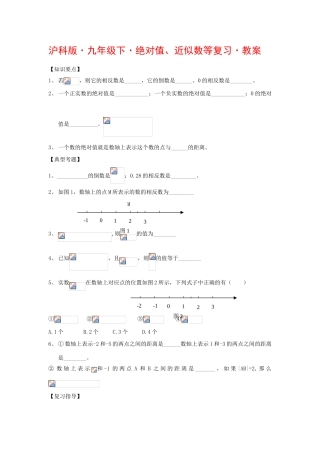 九年级数学下绝对值、近似数等复习教案沪科版