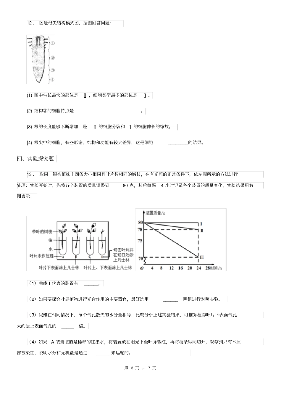 人教版生物七年级上册《3.3绿色植物与生物圈的水循环》测试题_第3页