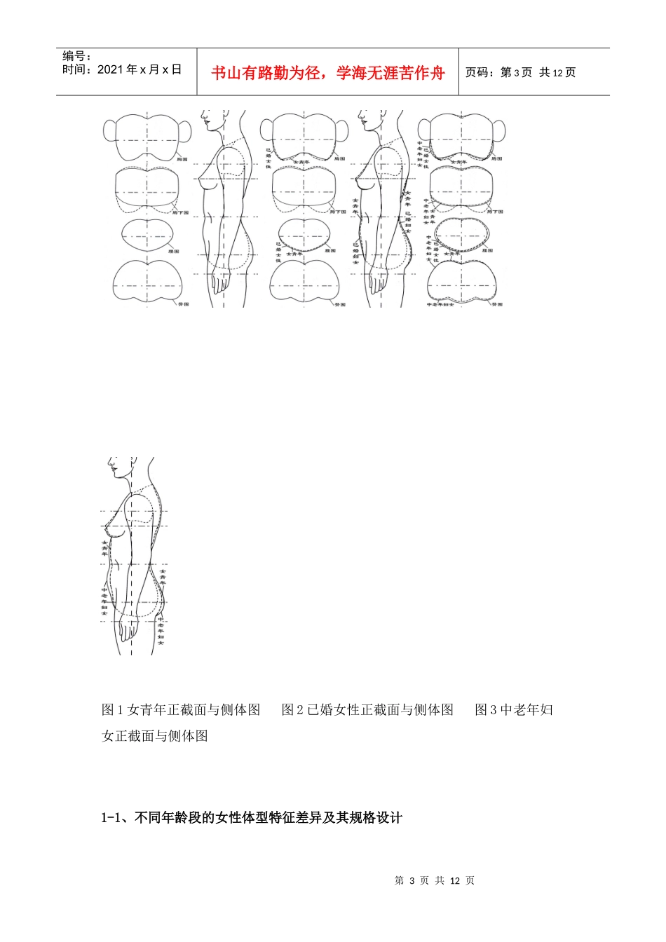 中国女性体型特征及其内衣消费特点的分析_第3页