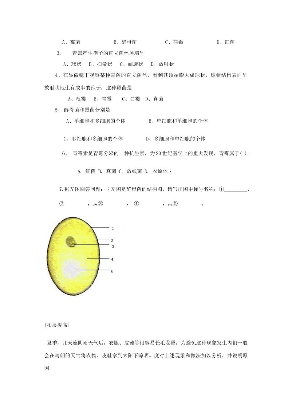 七年级生物上册 第三章第三节 真菌教案 济南版  _第3页