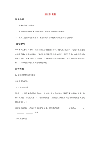 七年级生物上册 第三章第三节 真菌教案 济南版  
