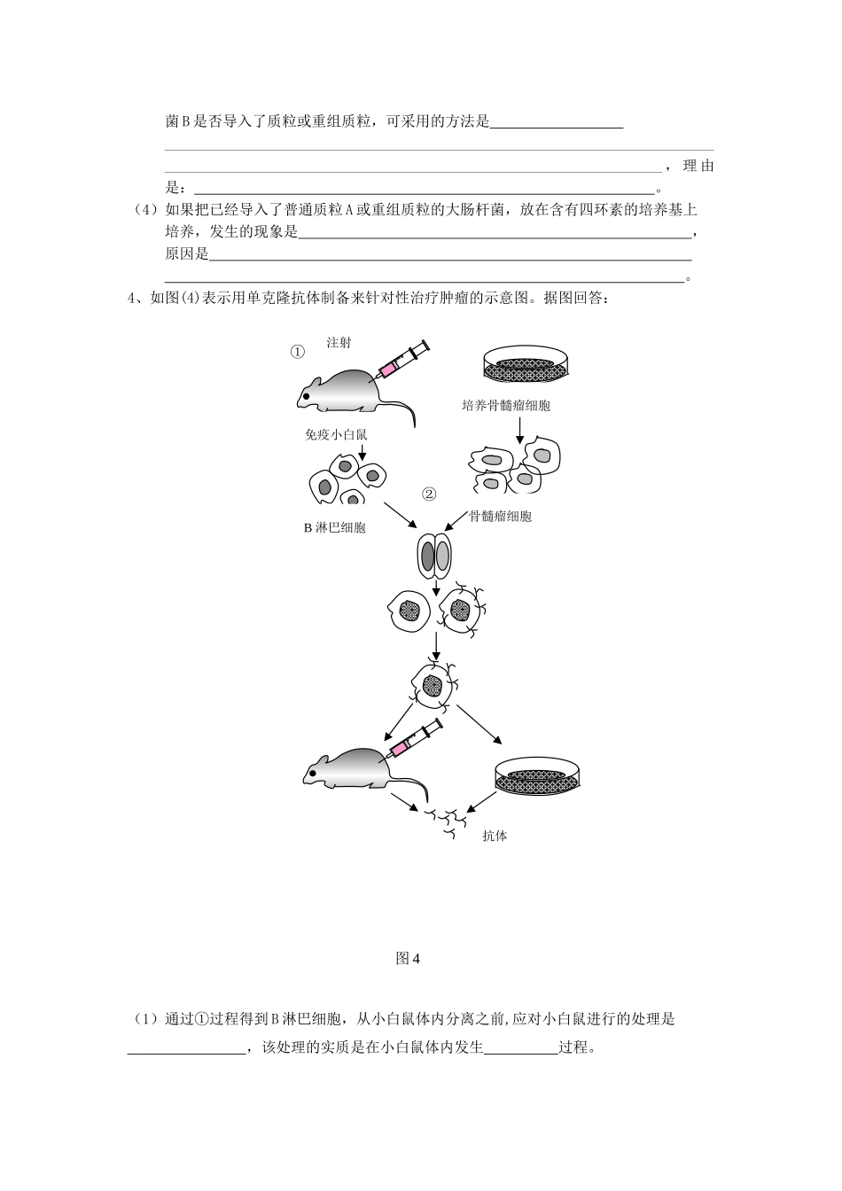 高中生物考前知识清理——选修3－《现代生物科技专题》_第3页