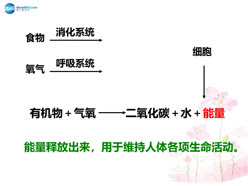 七年级生物下册 第十章 第五节 人体能量的供给课件4 （新版）苏教版_第3页