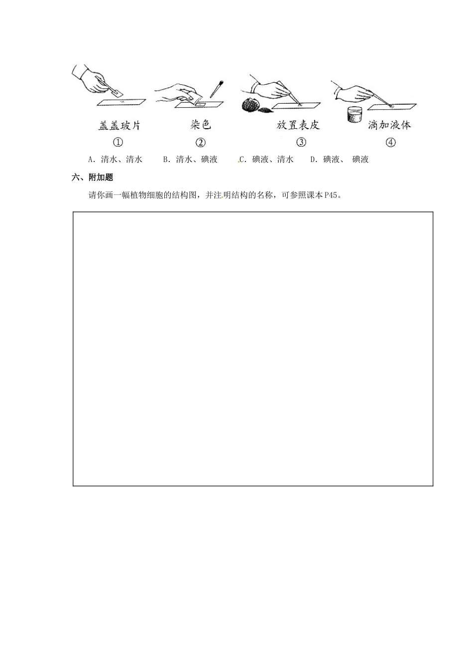 七年级生物上册 2.1.2 植物细胞导学案（无答案）（新版）新人教版_第3页