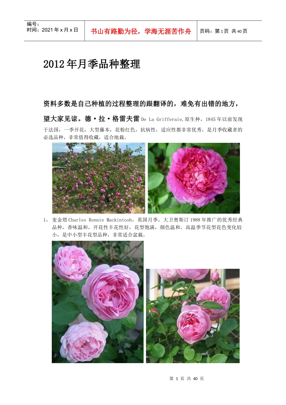 XXXX年月季品种整理_第1页