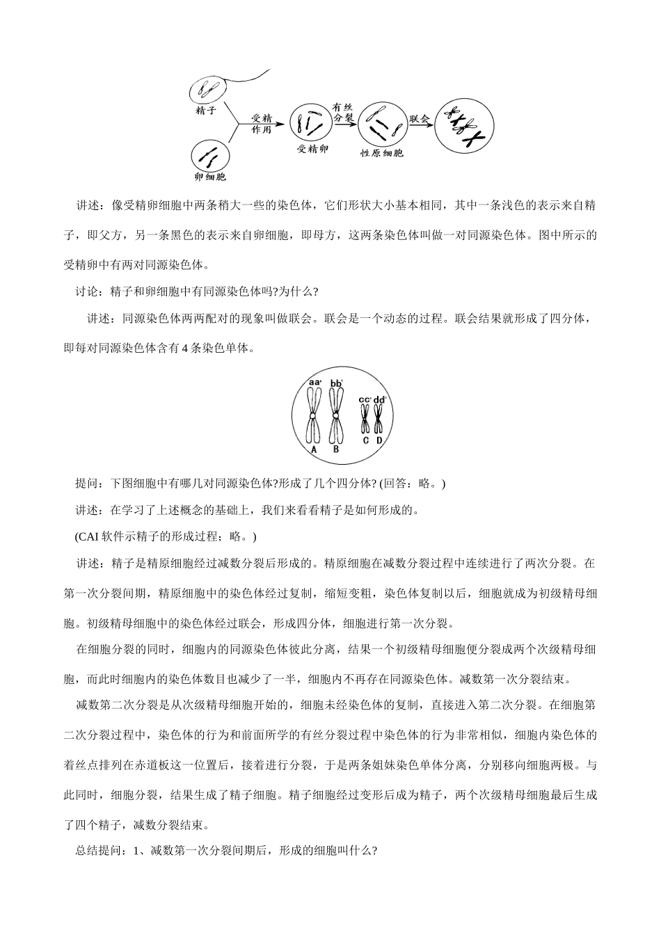 高中生物减数分裂和有性生殖细胞的形成教案(一)人教版 必修1_第3页