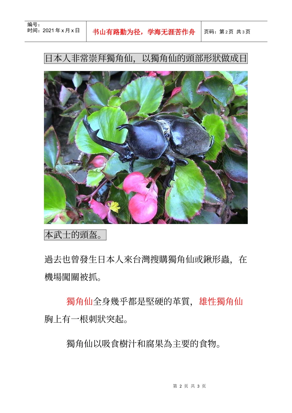 主题认识生物--独角仙_第2页