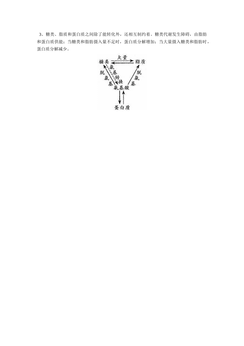 高中生物人和动物体内三大营养物质的代谢专题辅导_第2页