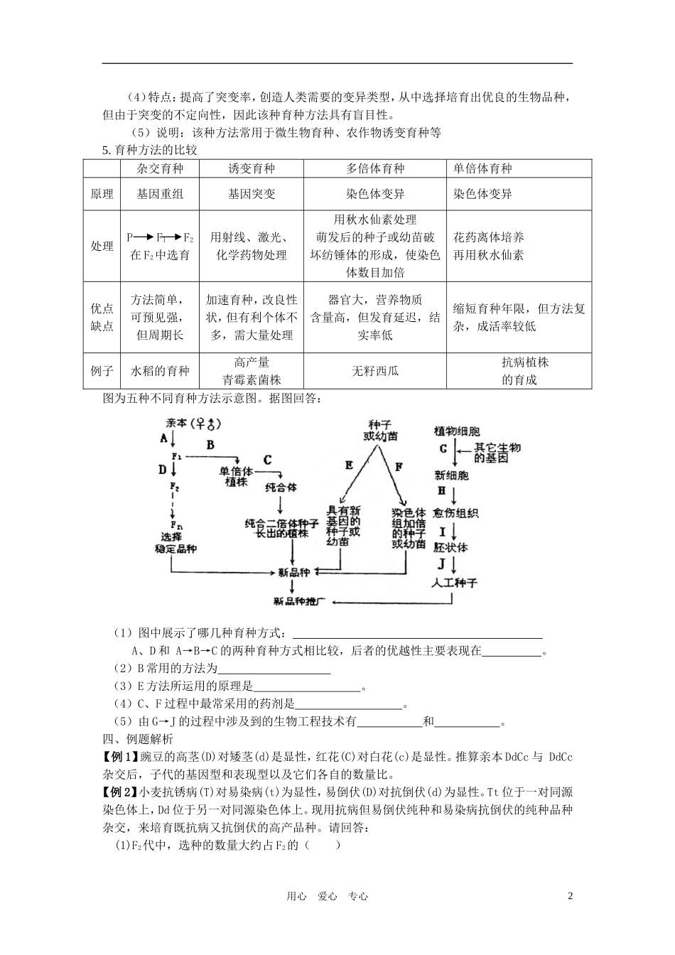 高中生物 第19课 从杂交育种到基因工程教案 新人教版必修2_第2页