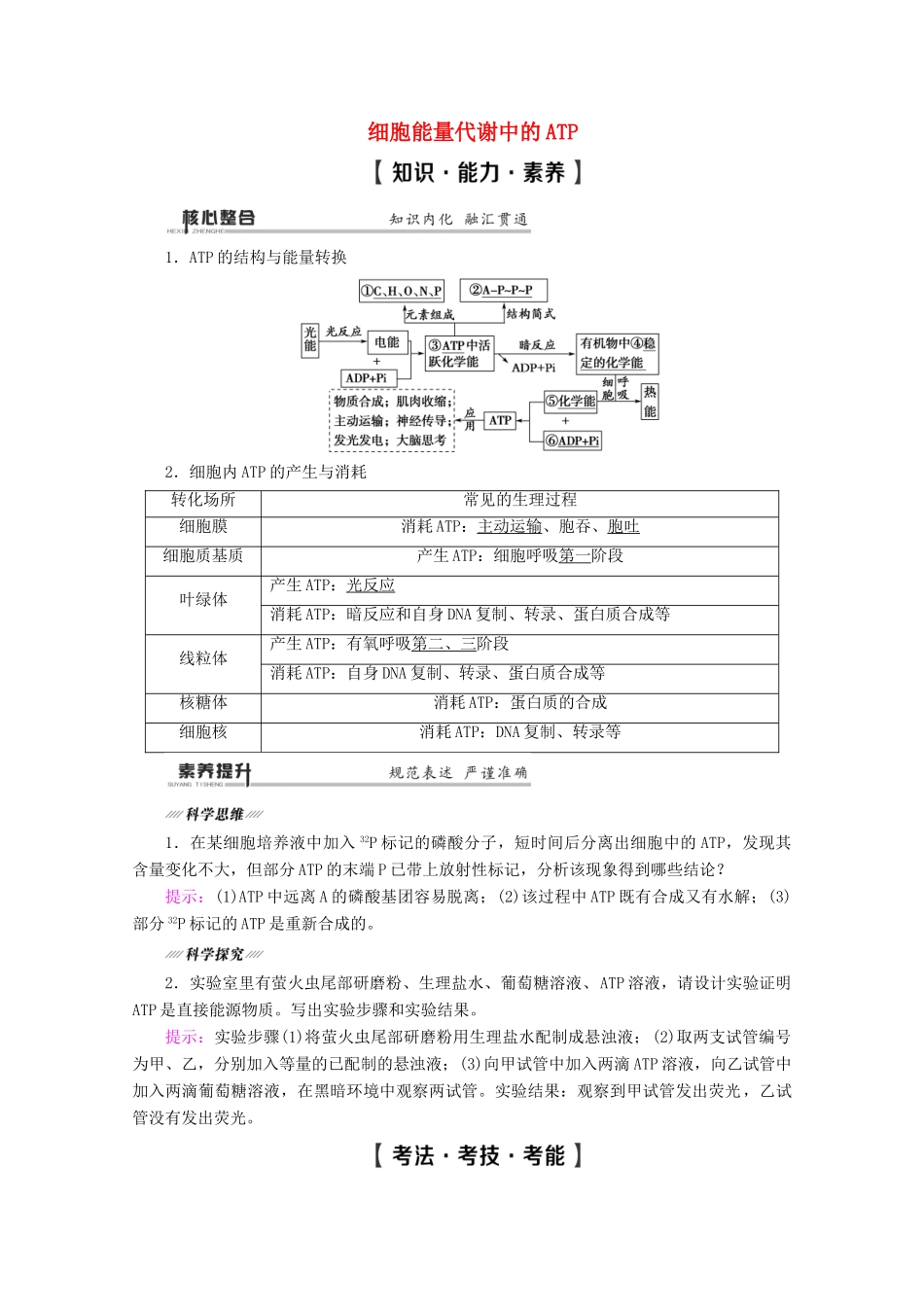 （通用版）高考生物二轮复习 第1部分 专题2 细胞代谢中的酶和ATP 考点2 细胞能量代谢中的ATP教案-人教版高三全册生物教案_第1页
