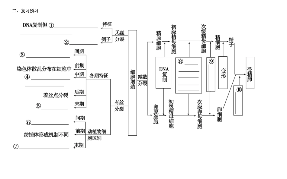 高三生物总复习 细胞增殖与受精作用教案-人教版高三全册生物教案_第3页
