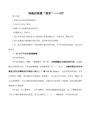 高中生物细胞的能量“通货”──ATP人教版必修一