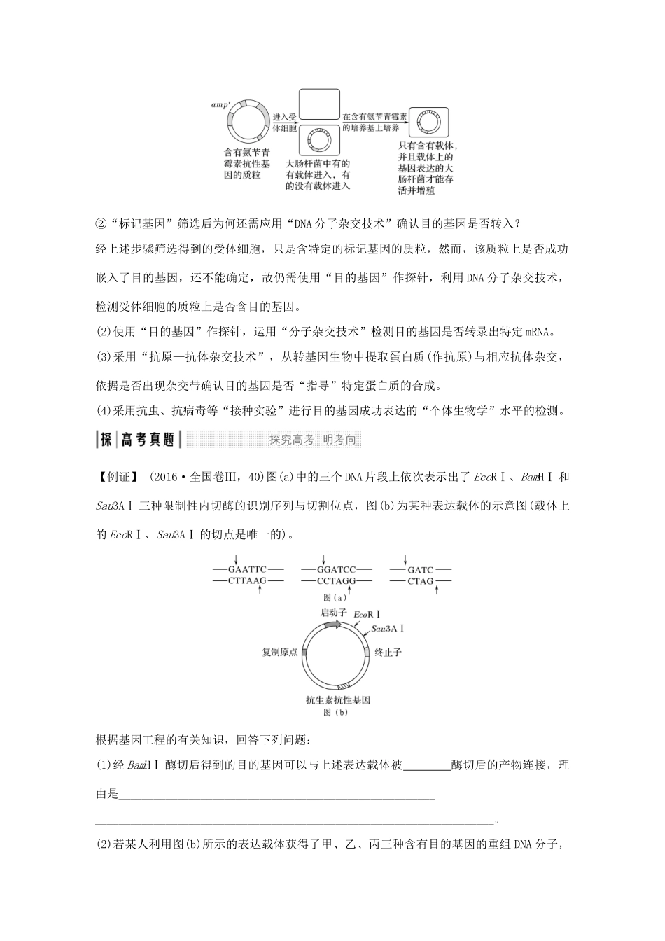 高考生物总复习 考点加强课6教案 中图版-中图版高三全册生物教案_第3页