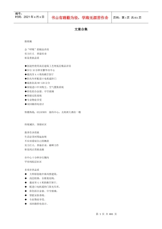 2009房地产经典文案汇编