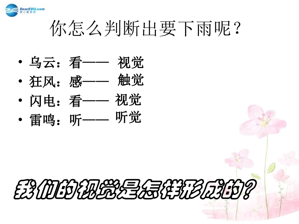 七年级生物下册 第十二章 第三节 人体感知信息课件4 （新版）苏教版_第2页
