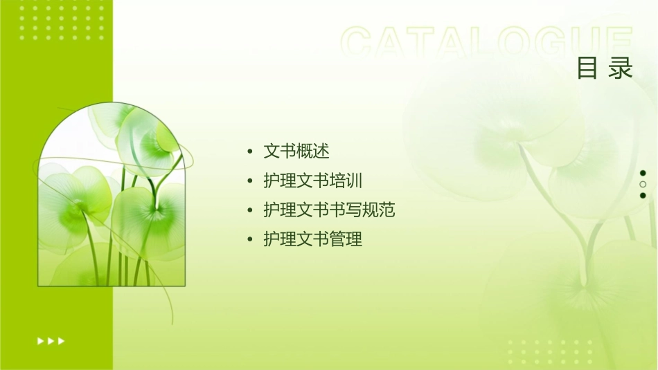 文书培训版概述护理课件_第2页