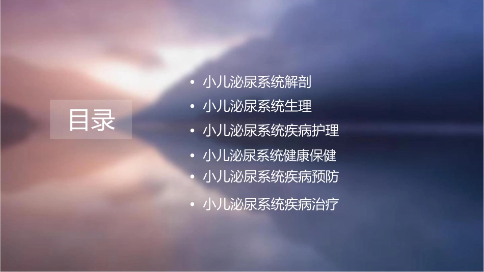 小儿泌尿系统解剖及生理护理课件_第2页