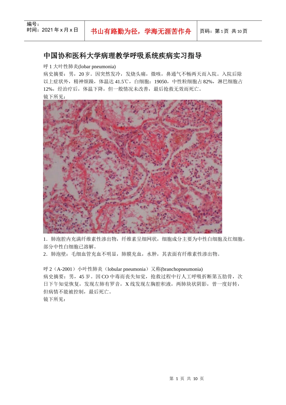 中国协和医科大学病理教学呼吸系统疾病实习指导_第1页