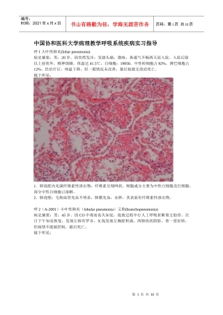 中国协和医科大学病理教学呼吸系统疾病实习指导