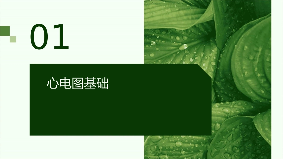 疑难心电图讨论(测试)课件_第3页