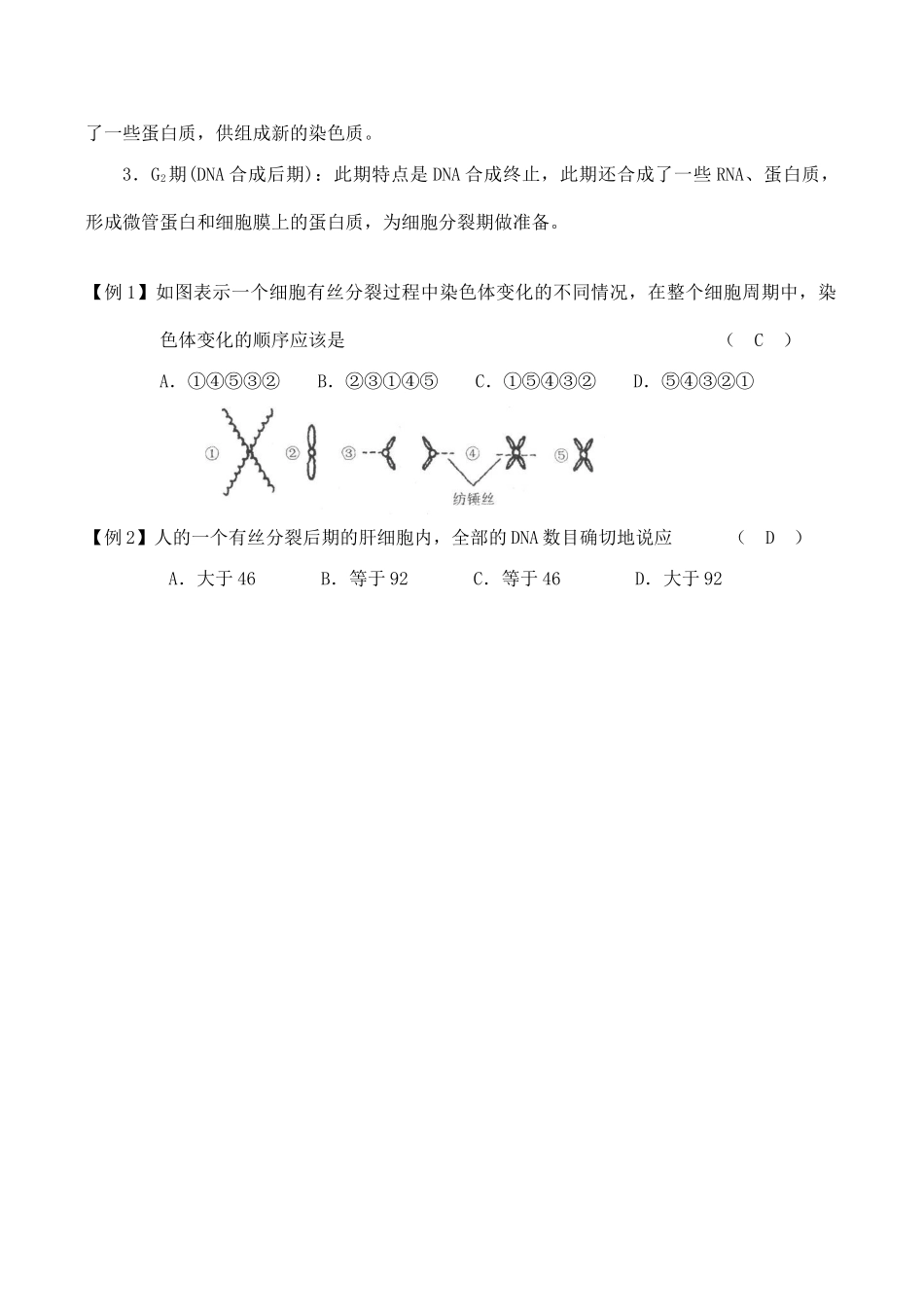 高中生物细胞的增殖（二）旧人教版必修一_第2页