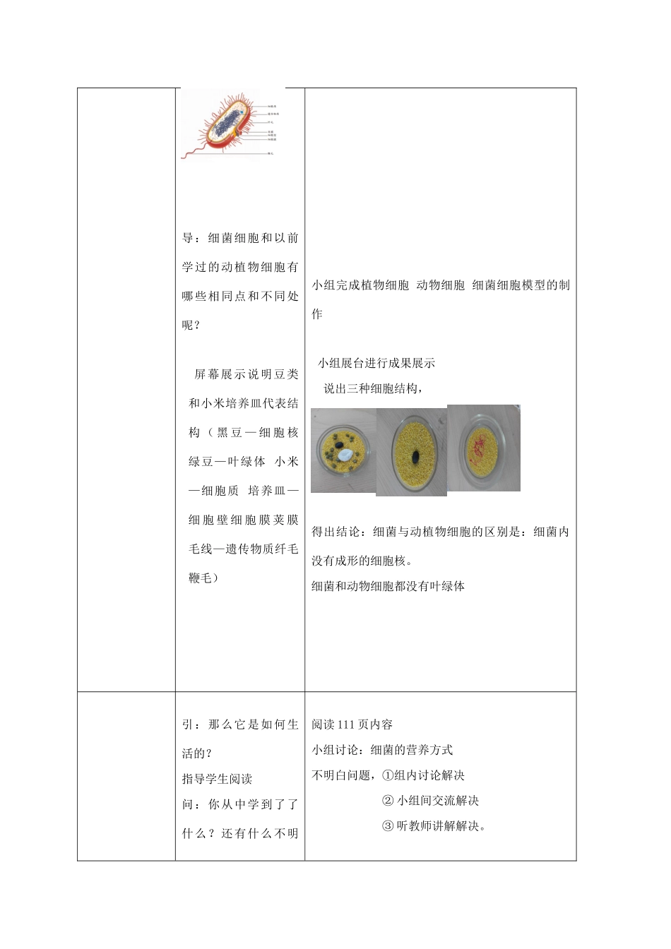 七年级生物上册 第二单元 第三章 第二节 细菌教学设计 （新版）济南版-（新版）济南版初中七年级上册生物教案_第3页