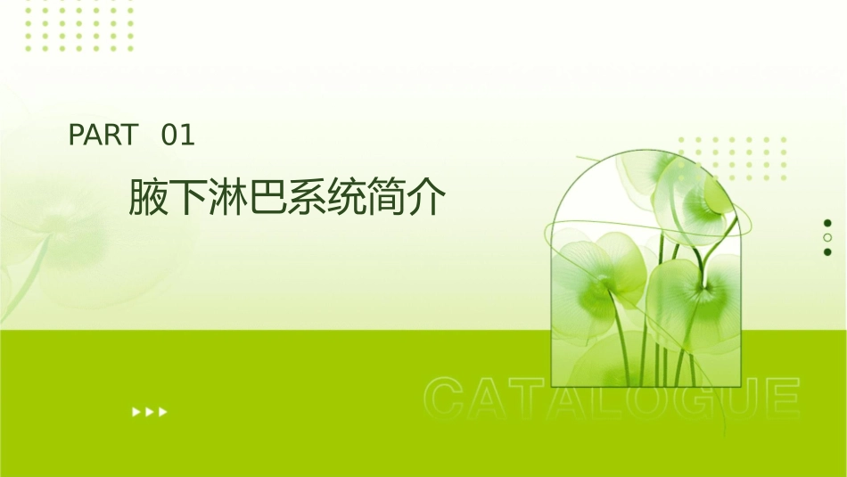 腋下淋巴排毒护理课件_第3页