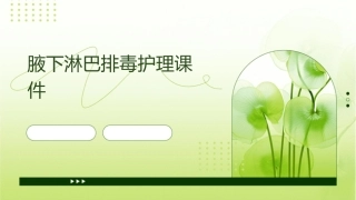 腋下淋巴排毒护理课件