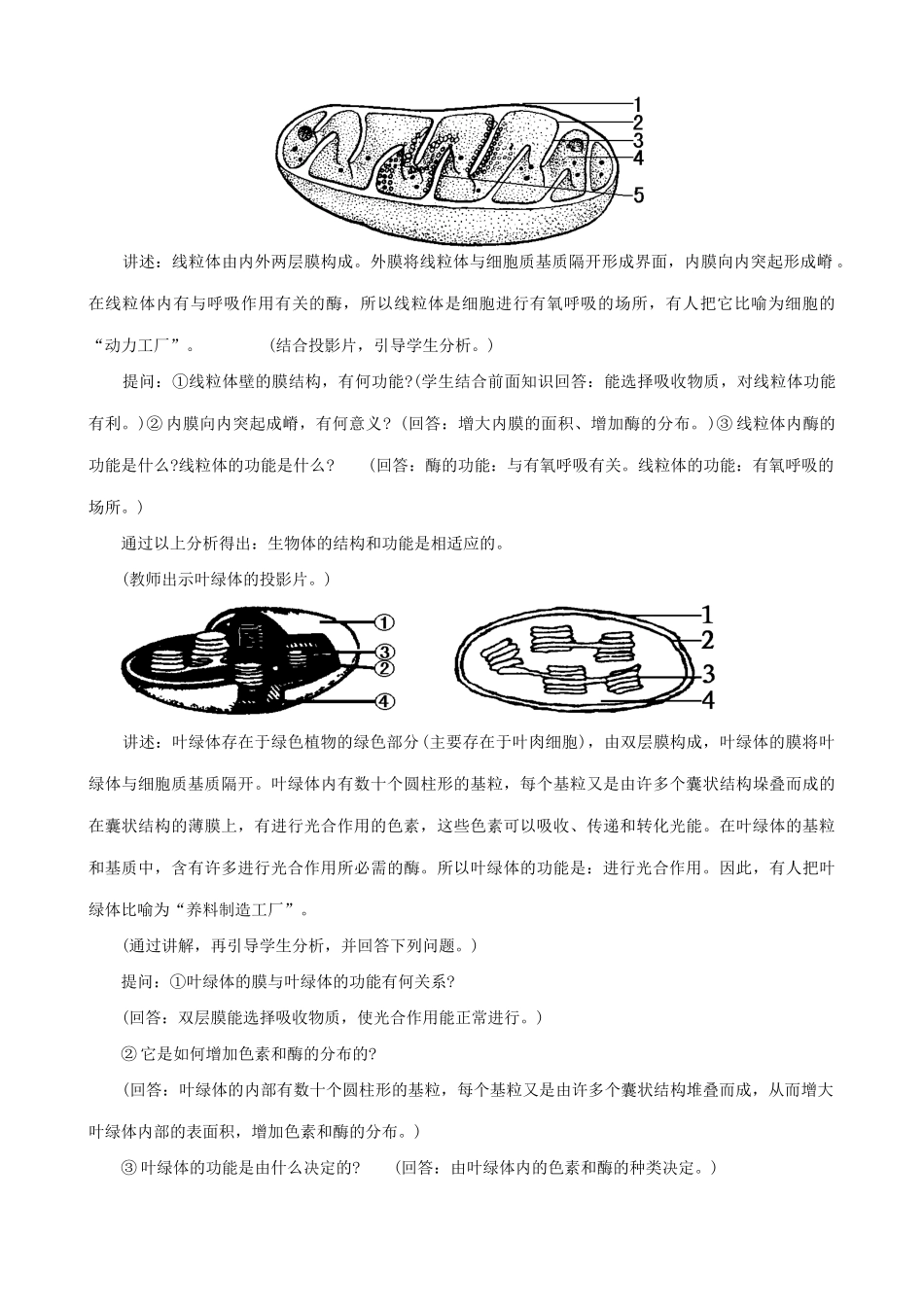 高中生物细胞质的结构和功能教案 人教版 必修1_第3页