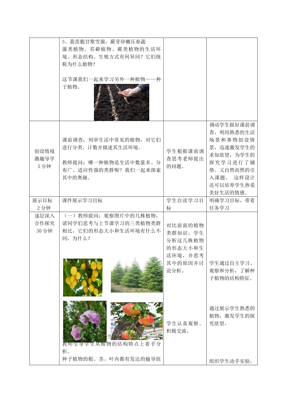 七年级生物上册 第一章 第一节 绿色植物的主要类群（种子植物）教案 （新版）济南版-（新版）济南版初中七年级上册生物教案_第2页