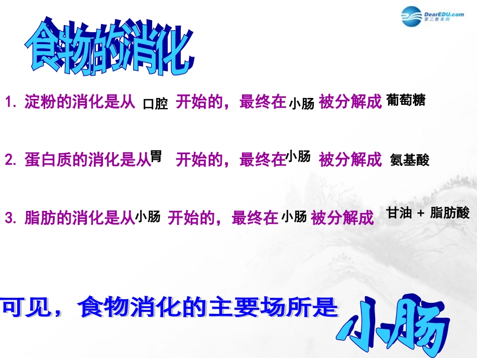 山东省临沂市蒙阴县第四中学七年级生物下册 第四单元 第二章 人体的营养复习课件 （新版）新人教版_第3页