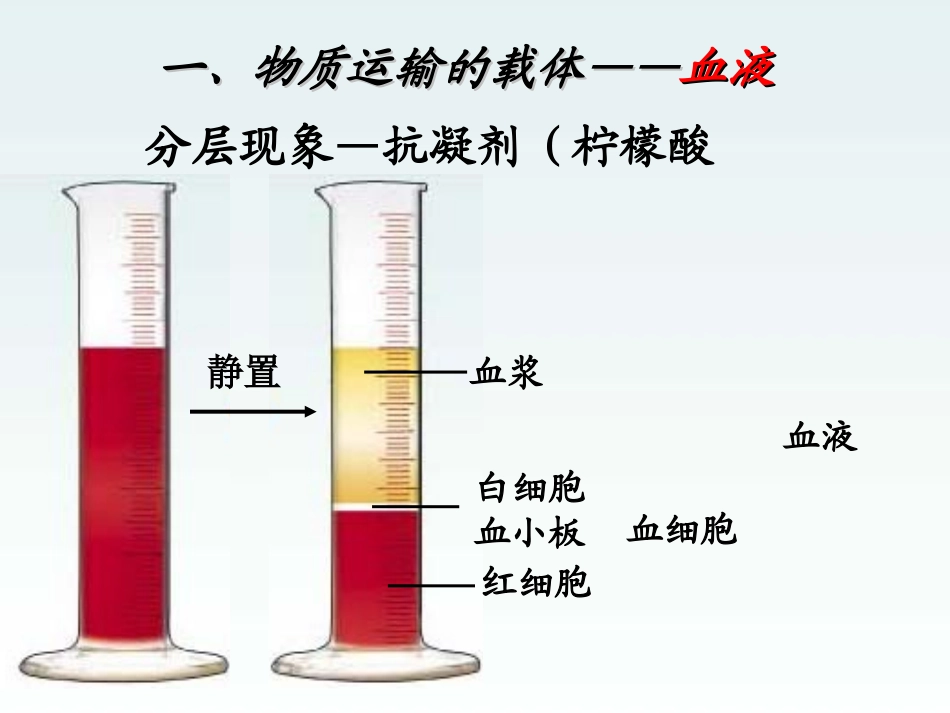 七年级生物下册 3.3 人体内的物质运输复习课件2 （新版）济南版_第3页