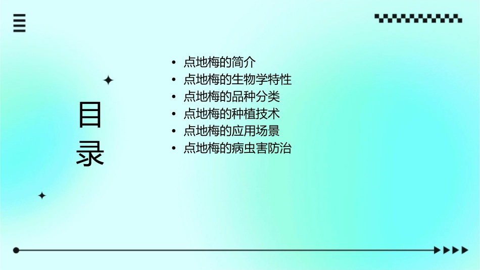 烂漫的点地梅通用课件_第2页