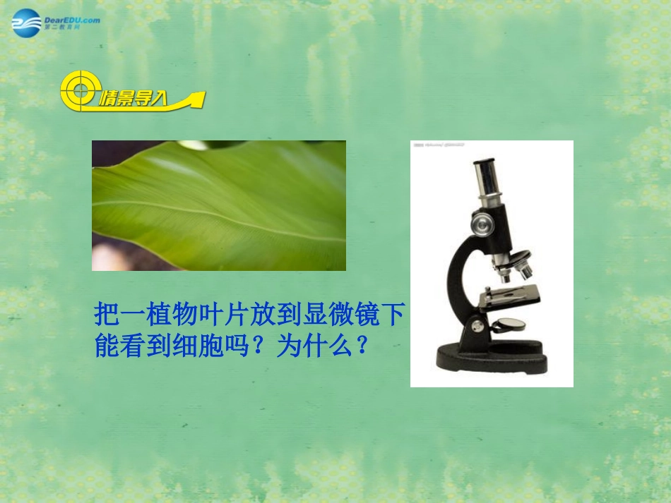 七年级生物上册 2.1.2 植物细胞课件 （新版）新人教版_第2页